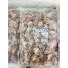Ốc Hương Quế Hàng Chất Lượng Size 30-50 con - 1kg