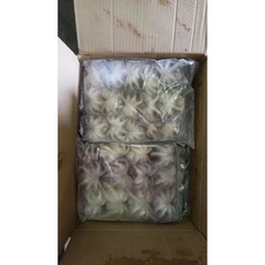Bạch tuộc sữa baby - 1kg