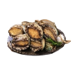 Bào Ngư size 20 con - 1kg net 6