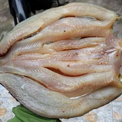 Cá lóc 1 nắng không ướp gia vị 2 khay - 1kg