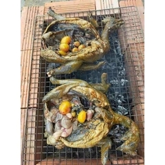 GÀ ÁC 1 con (500g-800g con có trứng con không có trứng)