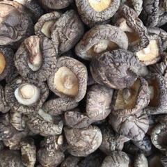 Nấm đông cô khô loại vừa - 500g