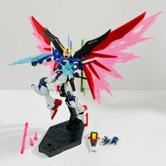 Mô hình lắp ráp HG CE 224 Destiny Revive 1/144