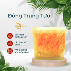 Đông trùng tươi