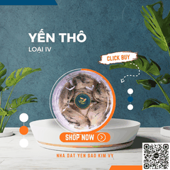 Yến thô loại IV