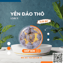 Yến đảo thô loại II