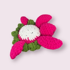 Rùa Len Thiết Kế Độc Quyền BST Thú Len Trái Cây The Heron Craft