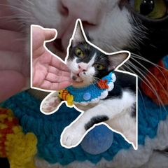 Yếm cho thú cưng vòng cổ móc len dành cho chó mèo