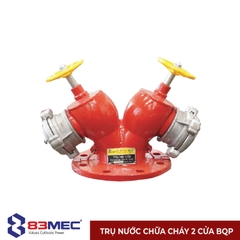 Trụ cứu hỏa 2 cửa