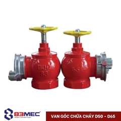 Van góc chữa cháy DN50 – DN65