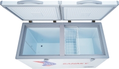 Tủ đông Sanaky 270 lít VH-365A2
