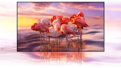 Smart Tivi QLED Samsung 4K 55 inch QA55Q80AAKXXV