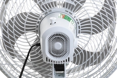Quạt đứng Asia Turbo DTB1601-XV0
