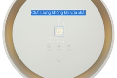 Máy lọc không khí LG PuriCare Aero Booster AS55GGSY0 55W