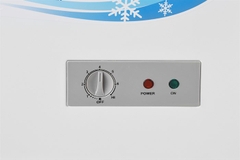 Tủ Đông Sanaky 305 lít VH-4099A1