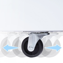 Tủ đông Sanaky 235 lít VH-2899A1