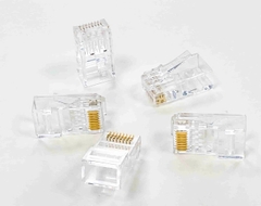 Hạt mạng Cat6 RJ45 128-31CL Norden