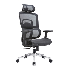 Ghế công thái học EDRA EEC220 (Đệm mông lưới)