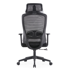 Ghế công thái học EDRA EEC222