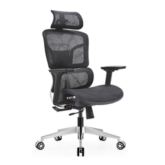 Ghế công thái học EDRA EEC223