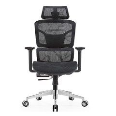 Ghế công thái học EDRA EEC223