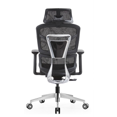 Ghế công thái học EDRA EEC223