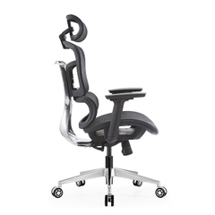 Ghế công thái học EDRA EEC223