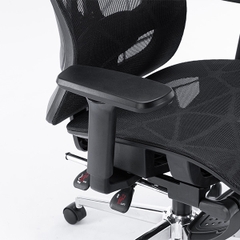 Ghế công thái học EDRA EEC225