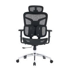 Ghế công thái học EDRA EEC226