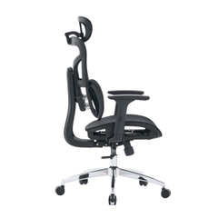 Ghế công thái học EDRA EEC226