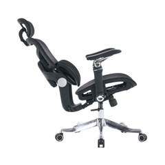 Ghế công thái học EDRA EEC227
