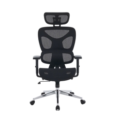 Ghế Công Thái Học EDRA EEC229
