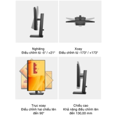 Màn Hình 21.5 Inch Dell E2225HSM Full HD VA 100Hz