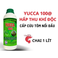 YUCCA - HẤP THU KHÍ ĐỘC, CẤP CỨU TÔM NỔI ĐẦU - CHAI 1 LÍT