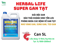 SUPER GAN TẠT - HERBAL LIFE - GAN TẠT CAO CẤP - CAN 5L