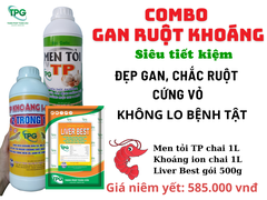 COMBO GAN RUỘT KHOÁNG TPG