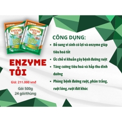 ENZYME TỎI- TĂNG CƯỜNG TIÊU HÓA VÀ HẤP THỤ THỨC ĂN - GÓI 500G