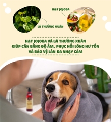 Dầu gội và xả cho chó Budle'Budle