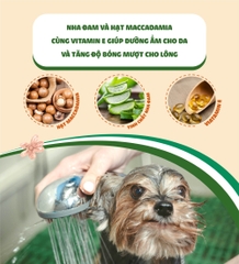 Dầu xả cho chó Budle'Budle