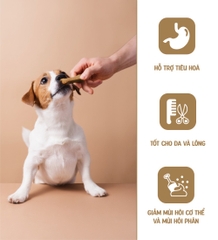 Bánh cookie yến mạch