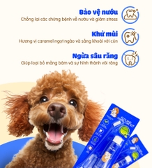Bộ chăm sóc răng cho chó Budle'Budle
