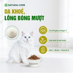 Thức ăn cho mèo Thịt gà & Cá hồi Bene 3012
