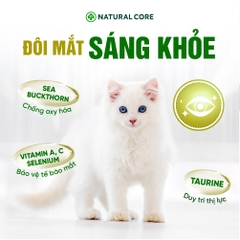 Thức ăn cho mèo Thịt gà & Cá hồi Bene 3012