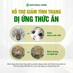 Thức ăn cho mèo Thịt gà & Cá hồi Bene 3012