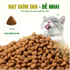 Thức ăn cho mèo Thịt gà & Cá hồi Bene 3012