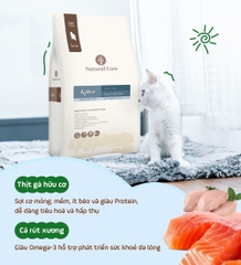 Thức ăn cho mèo con