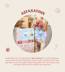 Thức ăn cho chó (Thịt vịt)