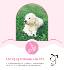 Thức ăn cho chó con (Thịt cừu)