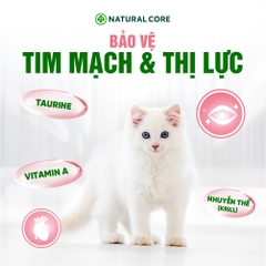Thức ăn đa đạm cho mèo ECO C1