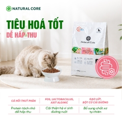 Thức ăn đa đạm cho mèo ECO C1